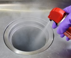 建てたばかりの家に虫が出る!そんな場合の原因と対処法