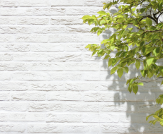 外壁の色を選ぶ際に知っておきたいポイント