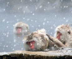 寒くなり始めたこの時期に気をつけたいヒートショックの恐怖