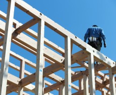 家づくりに使われている木の種類と特徴