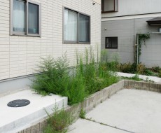 雑草を放置すると家や庭にも悪影響をおよぼします