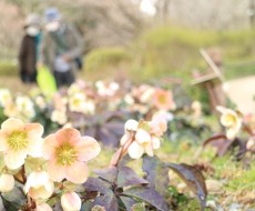 老後の暮らしまで考えた間取りで家を建てましょう