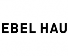 ヘーベルハウスの特徴と坪単価、耐震性能